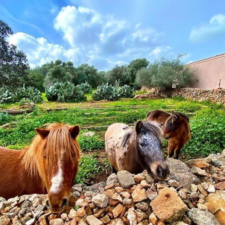 Finca Agroturismo Sa Cova Den Borino Campos  Exterior foto