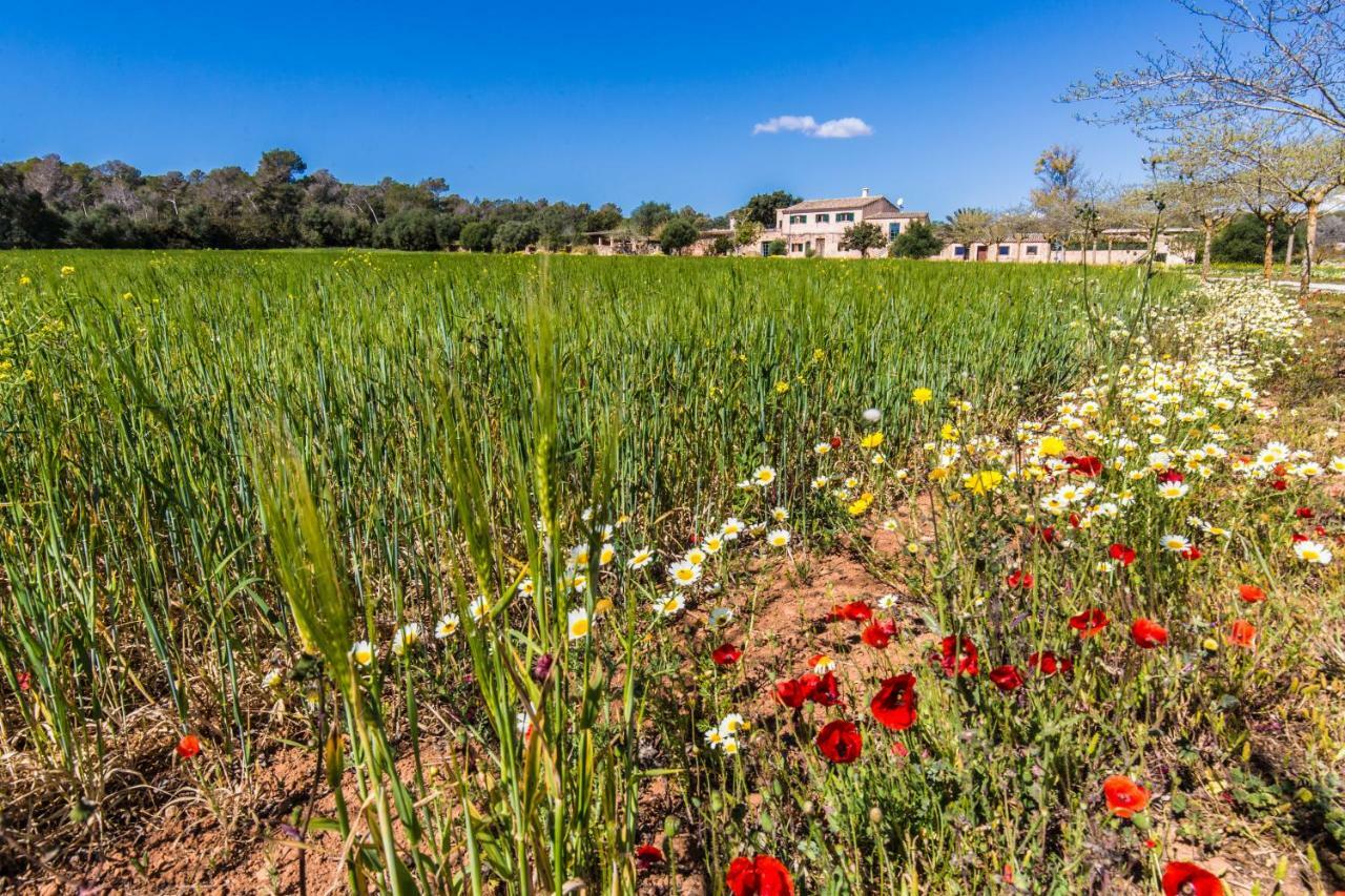Finca Agroturismo Sa Cova Den Borino Campos  Exterior foto