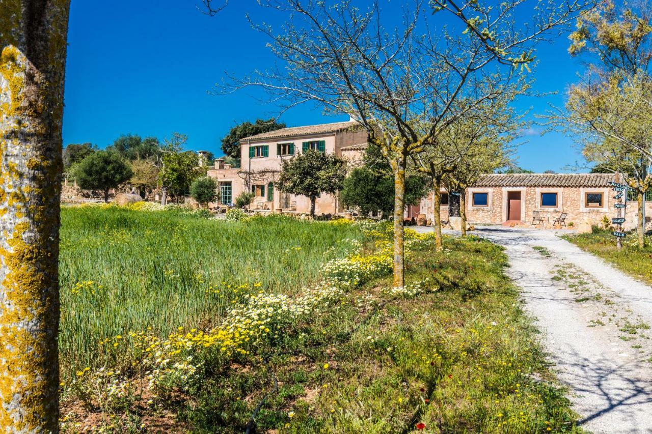 Finca Agroturismo Sa Cova Den Borino Campos  Exterior foto