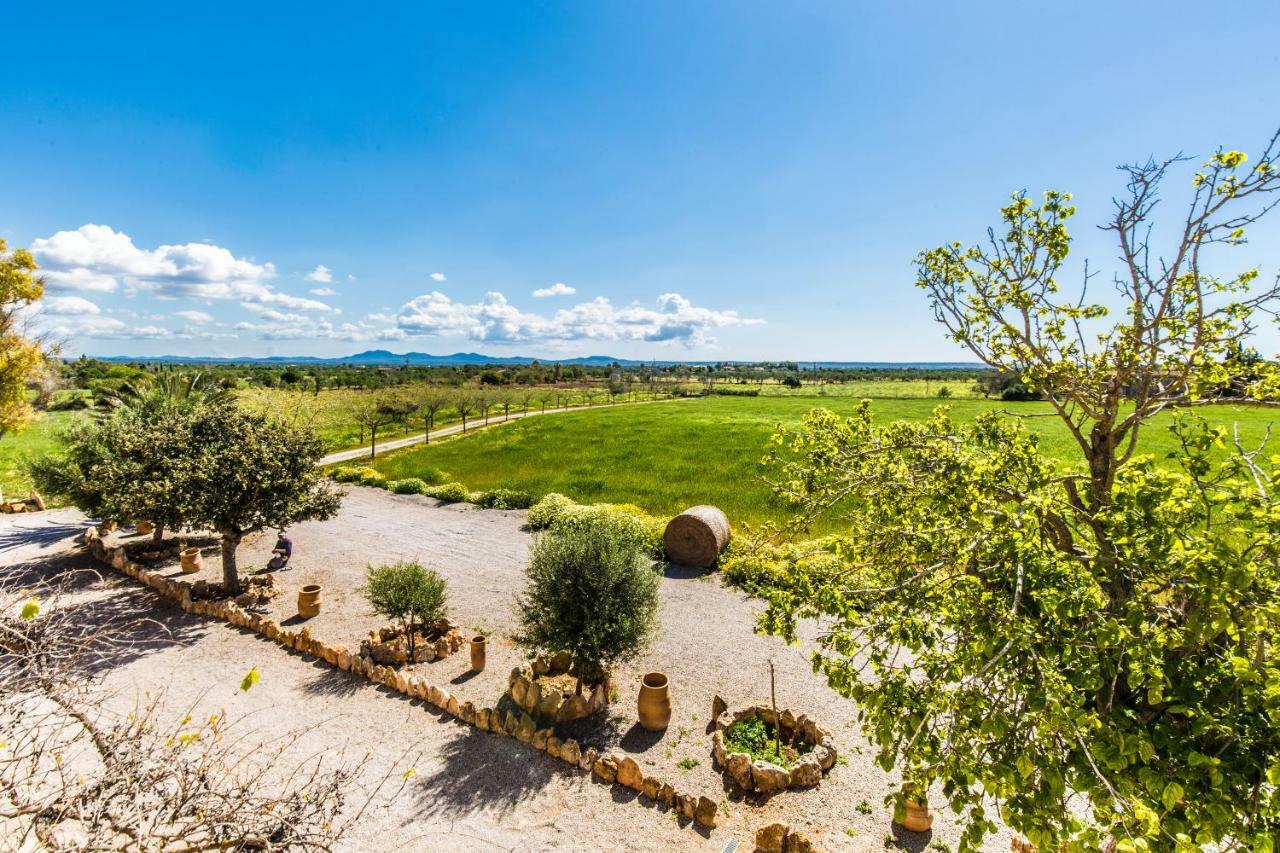 Finca Agroturismo Sa Cova Den Borino Campos  Exterior foto
