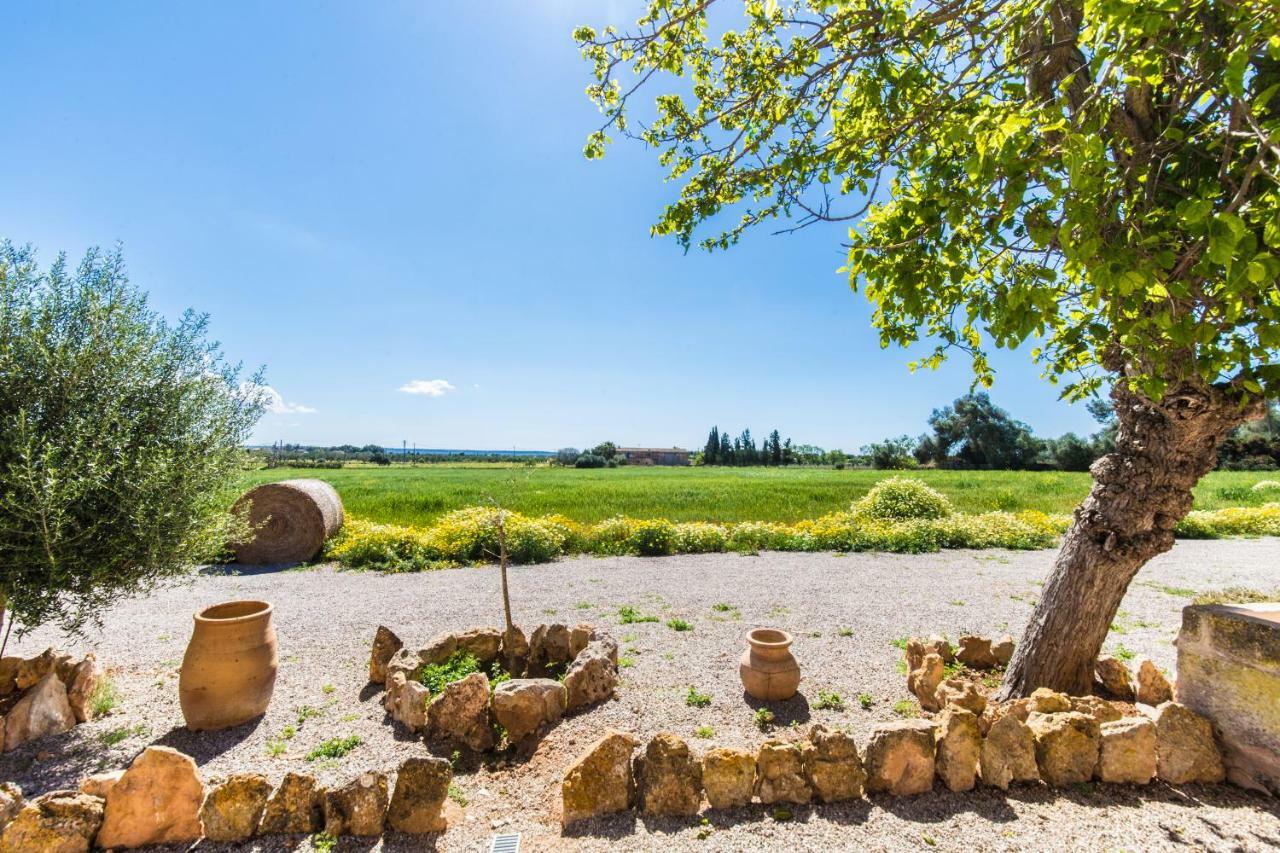 Finca Agroturismo Sa Cova Den Borino Campos  Exterior foto