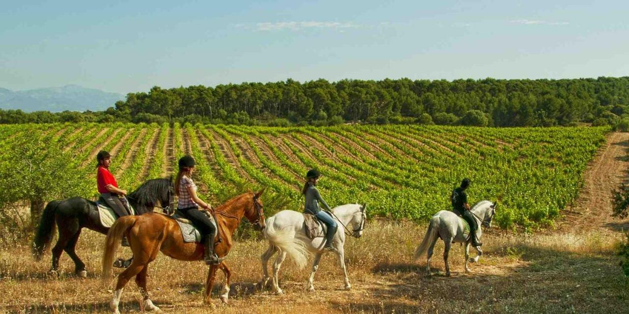 Finca Agroturismo Sa Cova Den Borino Campos  Exterior foto